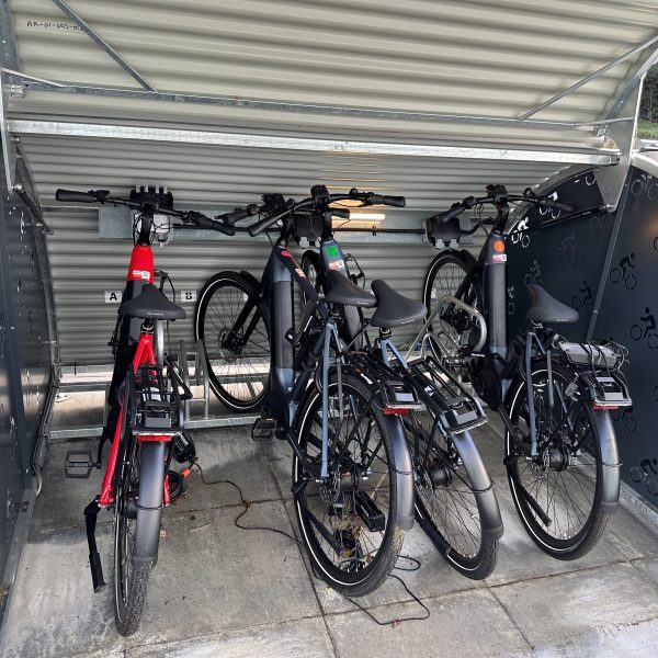 IMG 2017 4 1 600x600